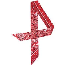 accessory Bandana Scarf Hindy House $24