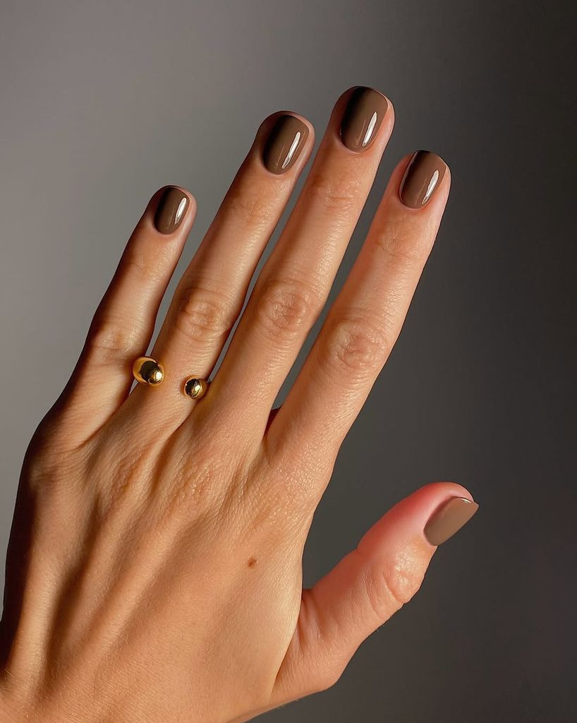 One Hand Visual Idea One Hand Visual Idea — Chocolate Brown Nails 2027