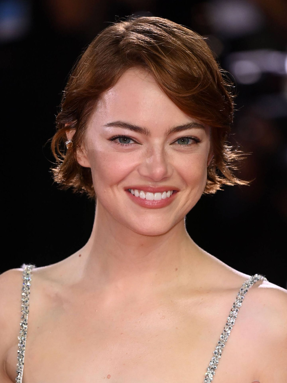 Dark Blonde Visual Idea Dark Blonde Visual Idea — Pixie Silk Press Styles 2027