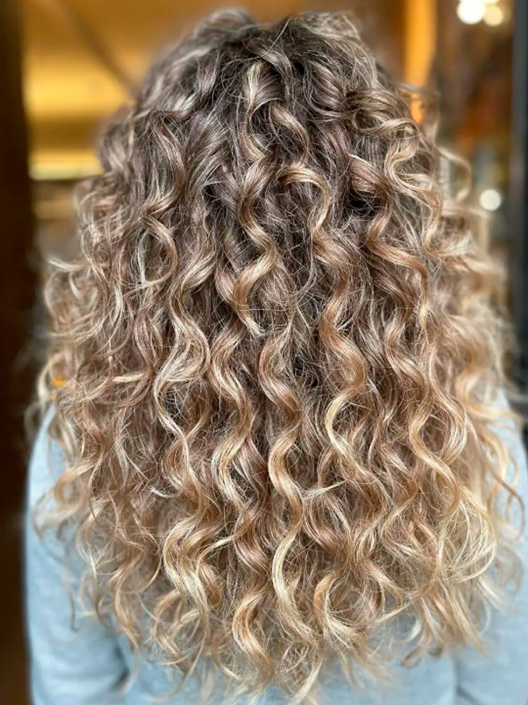 Back View Visual Idea — Beige Blonde Hair 2027