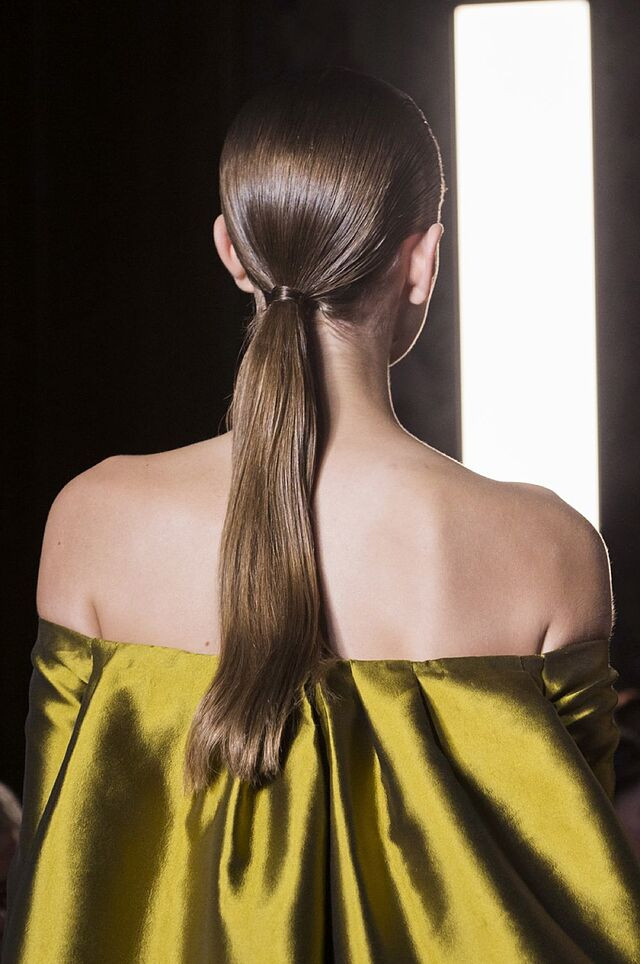 Long Visual Idea Long Visual Idea — Easy Ponytail Hairstyles 2027