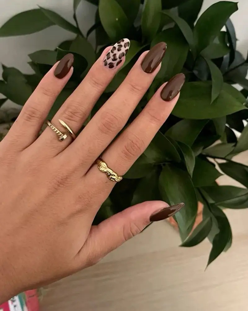 Classic Leopard Print Stiletto Tip Set Classic Leopard Print Stiletto Tip Set — Leopard Print Nails 2027