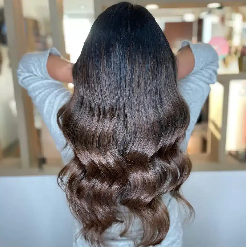 Layers Visual Idea — Highlights on Dark Hair 2027