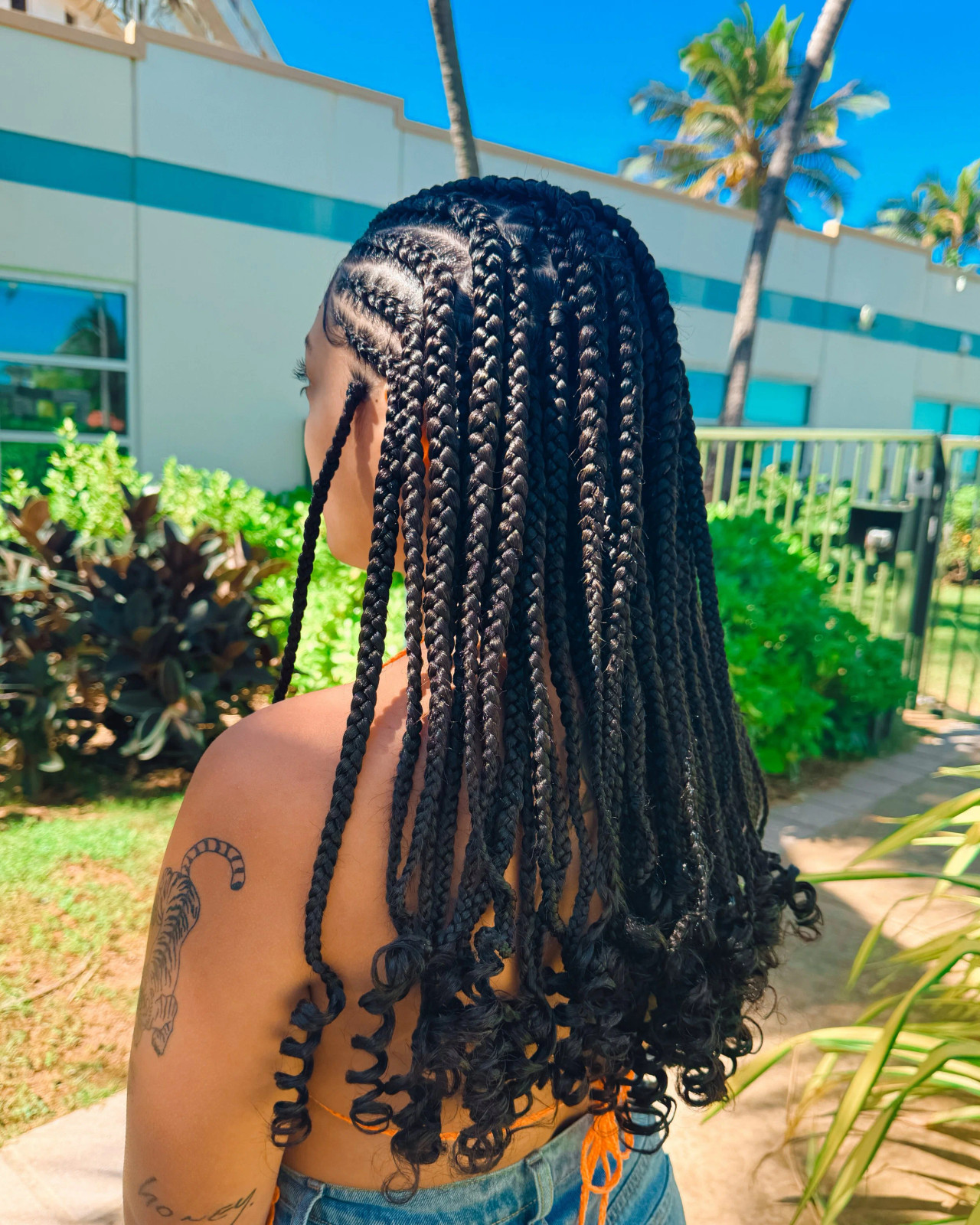 Long Braids Visual Idea Long Braids Visual Idea — Vacation Braids 2027