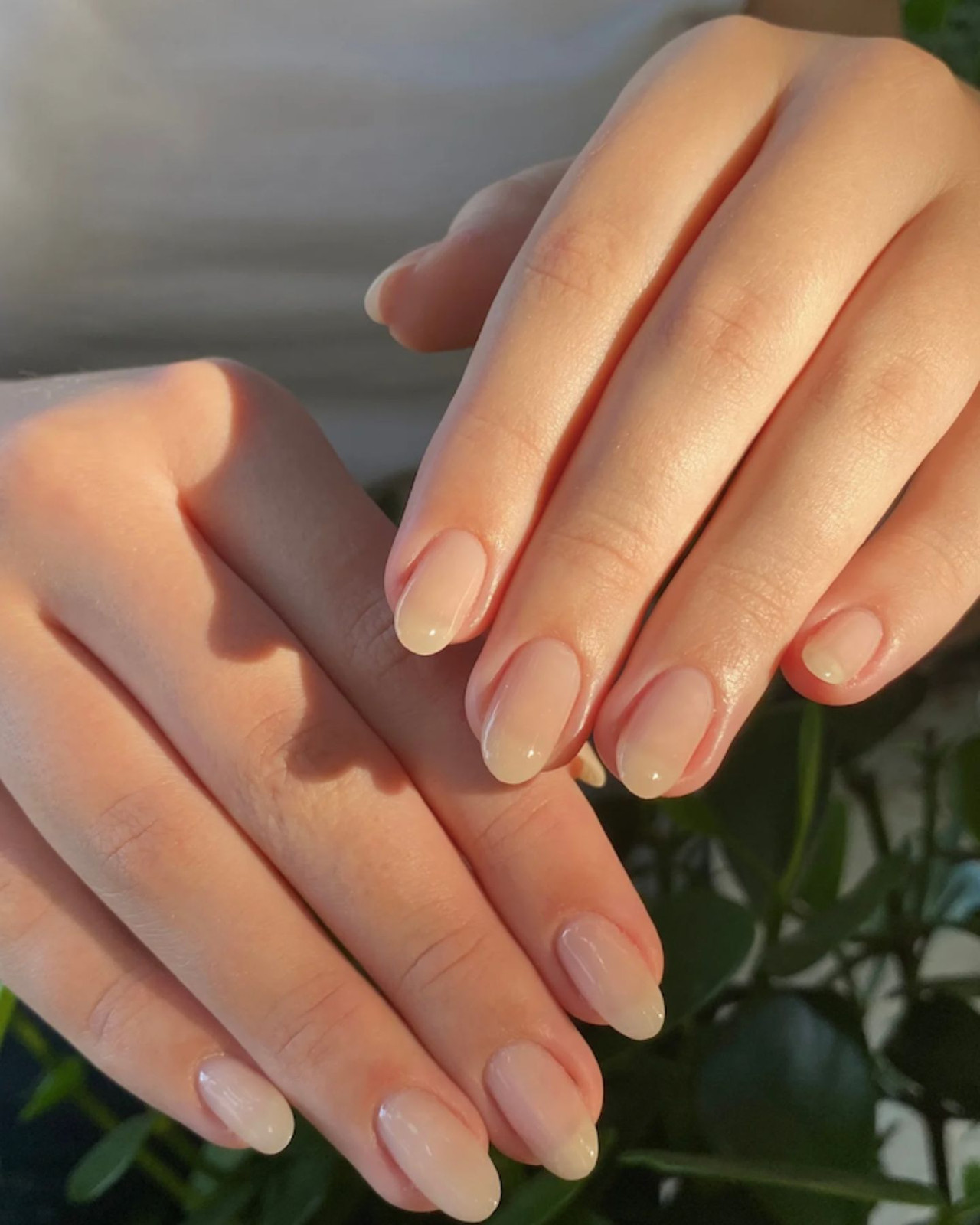 Milky Pink Glossy Round Nails Milky Pink Glossy Round Nails — Round Nails 2027