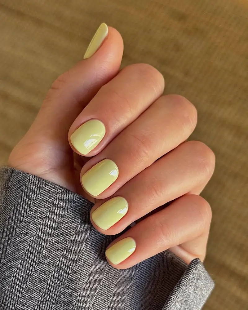 Solid Color On All Nails Visual Idea Solid Color On All Nails Visual Idea — Short Spring Nails 2027