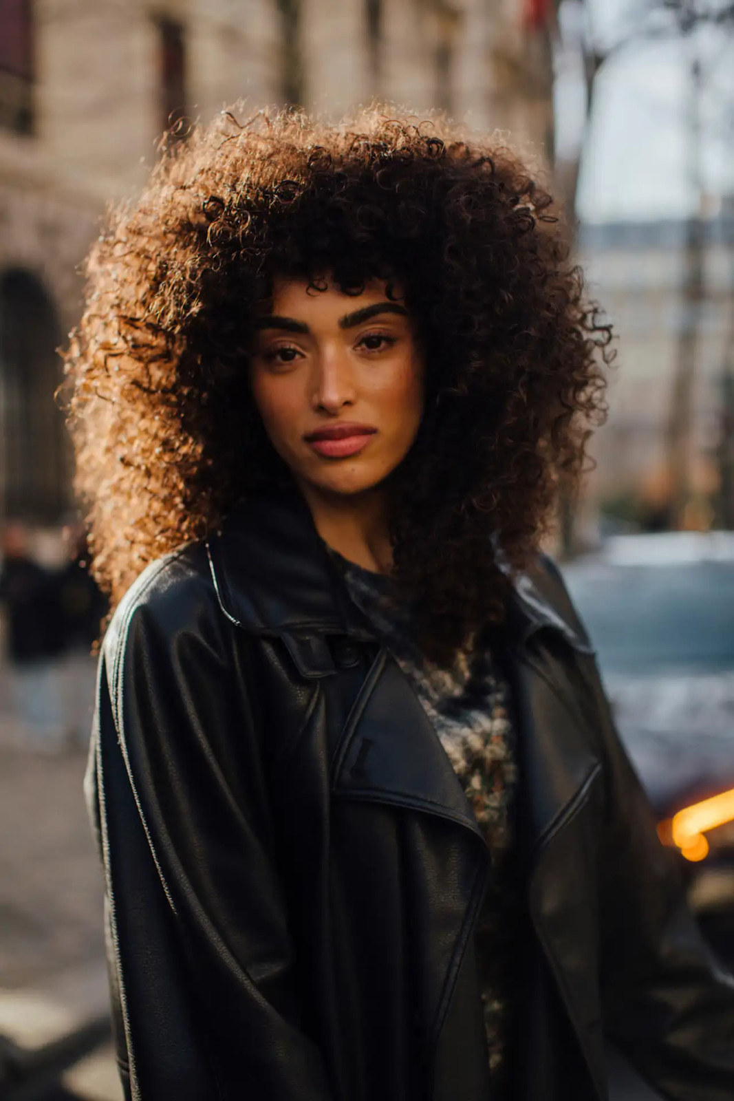 Shoulder-Length Natural Afro Shoulder-Length Natural Afro — 3C Hairstyles 2027