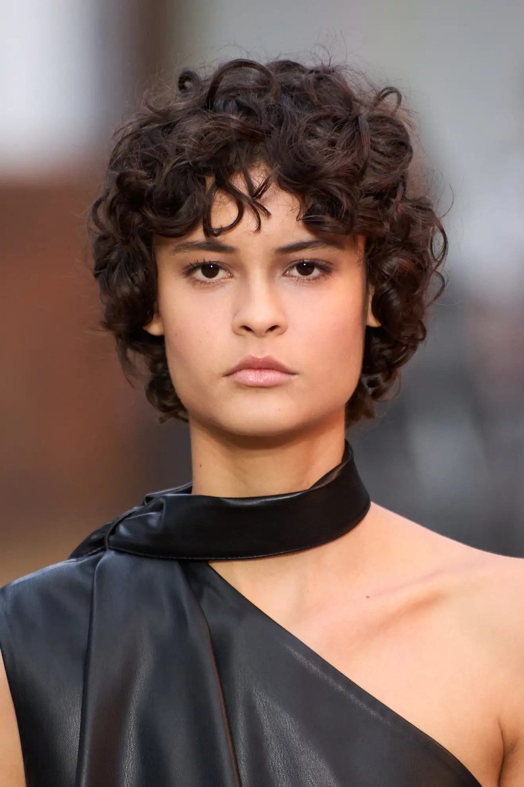Defined Curls Dark Brown Bixie — Bixie Haircut 2027