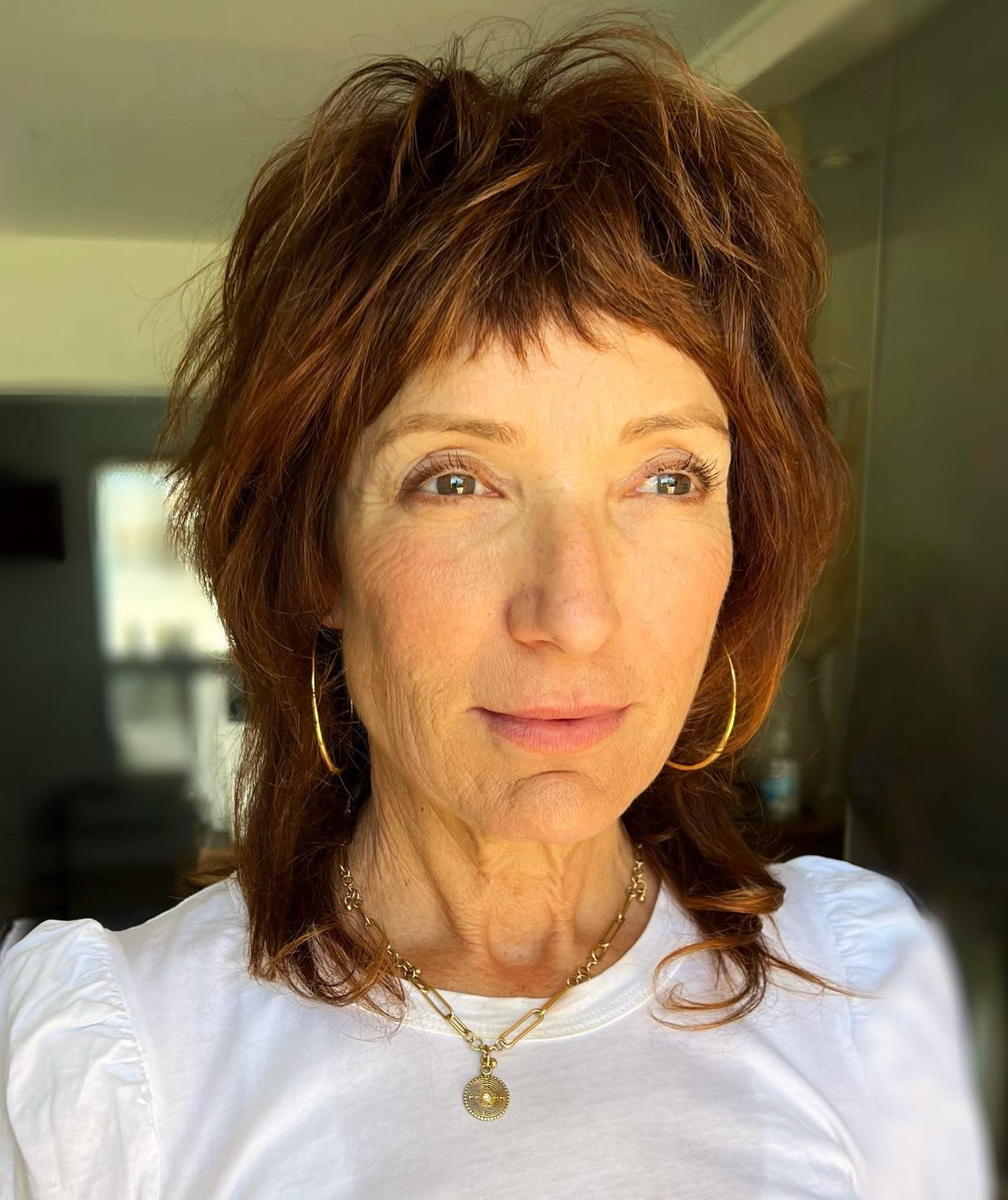 Reddish Brown Visual Idea Reddish Brown Visual Idea — Shag Haircut 2027