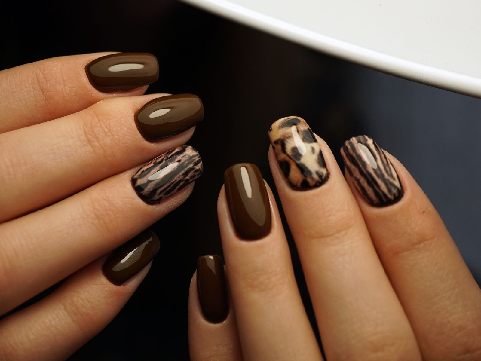Autumn Winter Visual Idea Autumn Winter Visual Idea — Leopard Print Nails 2027