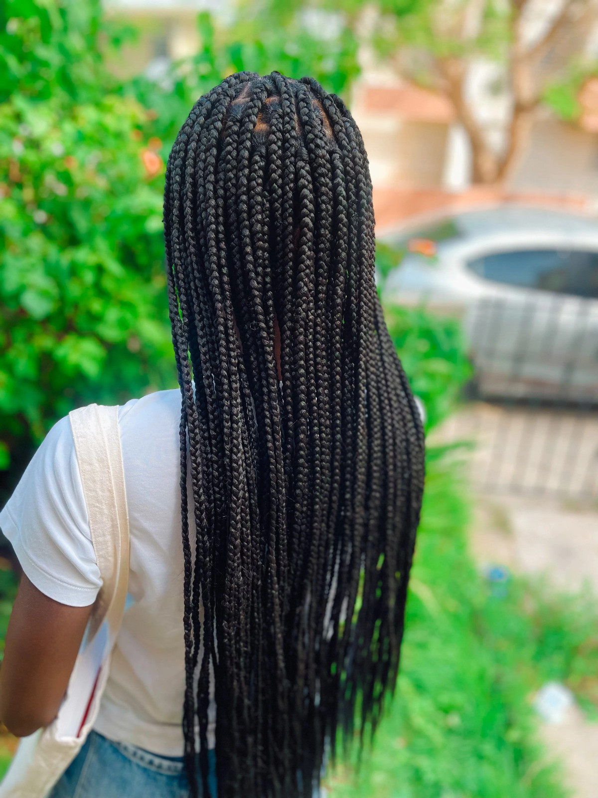 Back View Visual Idea Back View Visual Idea — Vacation Braids 2027