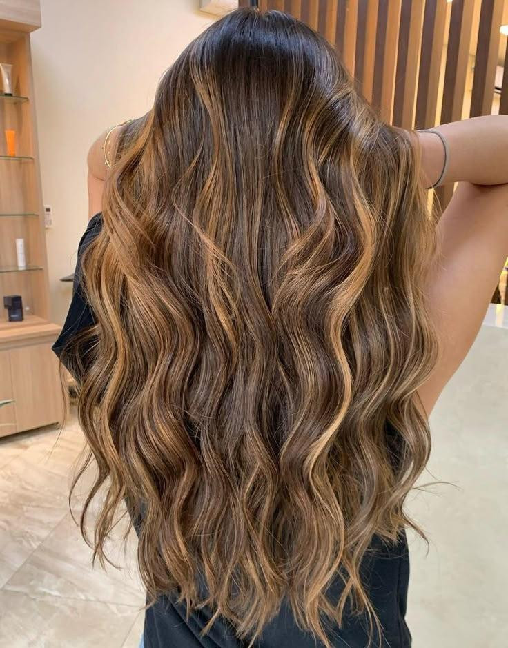 Back View Visual Idea Back View Visual Idea — Honey Balayage 2027