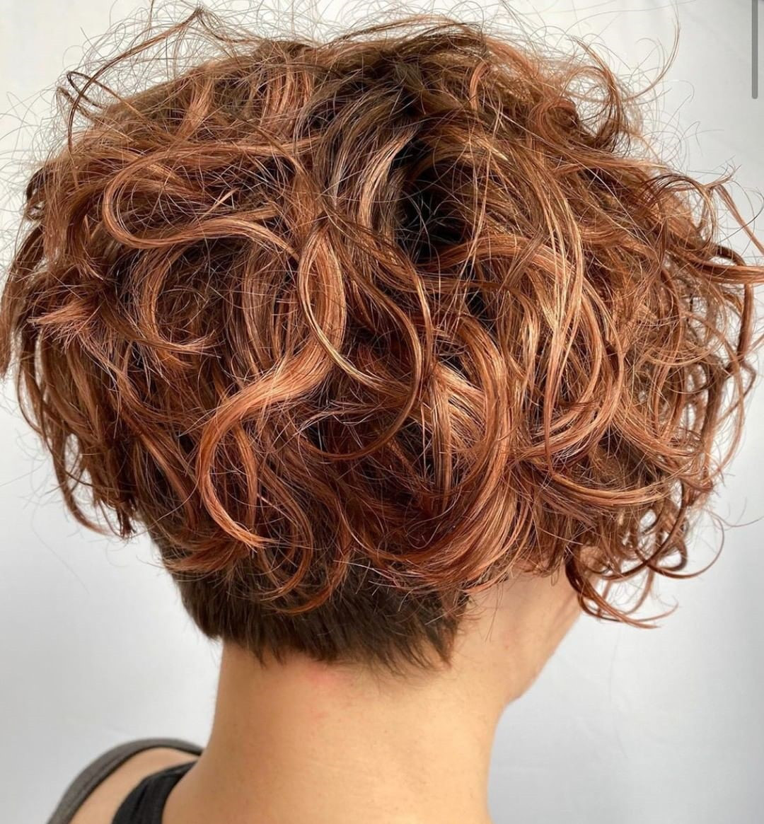 Ear Visual Idea Ear Visual Idea — Soft Pixie 2027