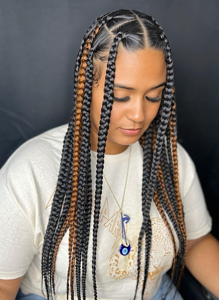 Ombre Black and Brown Box Braids Ombre Black and Brown Box Braids — Knotless Braids 2027 for Graduation