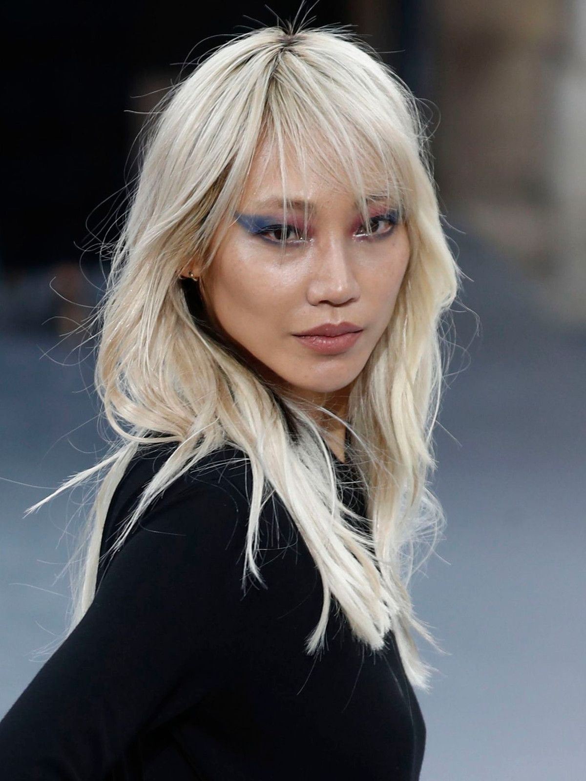 Shoulder Visual Idea — Blonde Hair Colors 2027