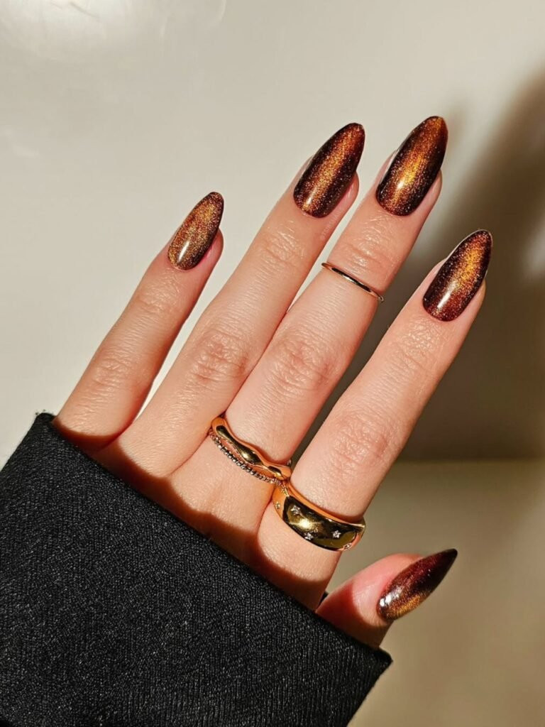 Shimmering Deep Brown Cat-Eye Stilettos Shimmering Deep Brown Cat-Eye Stilettos — Mocha Nails 2027