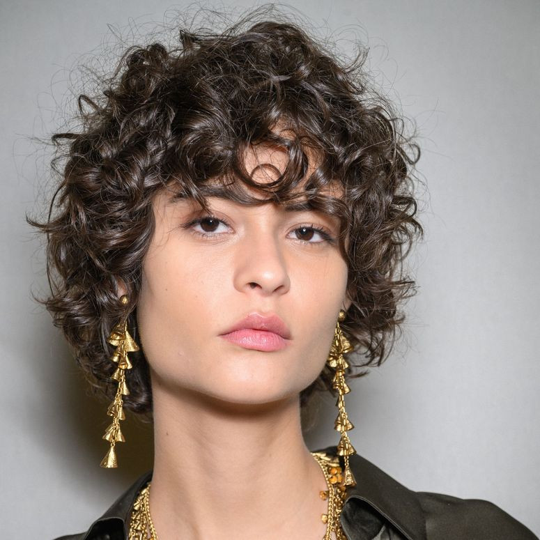 Front View Defined Curls Dark Brown Bixie Fringe — Bixie Haircut 2027