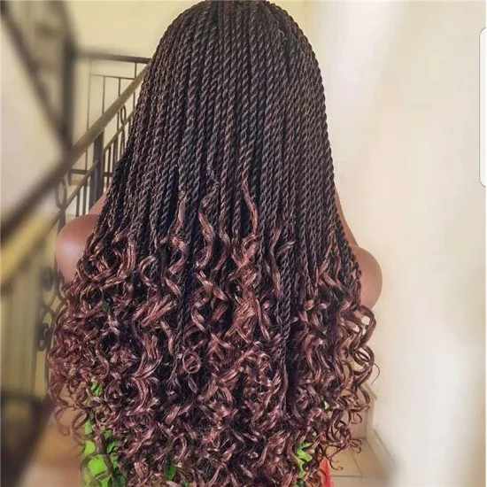 Visual Idea — The Ends Transition Into Defined Curls Visual Idea — The Ends Transition Into Defined Curls — Kinky Twists 2027