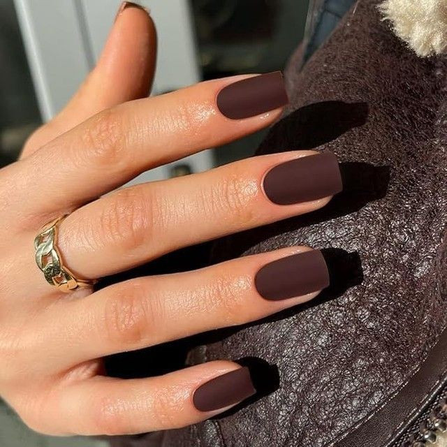 Solid Color On All Nails Deep Matte Brown Solid Nails Solid Color On All Nails Deep Matte Brown Solid Nails — Winter Matte Nails 2027