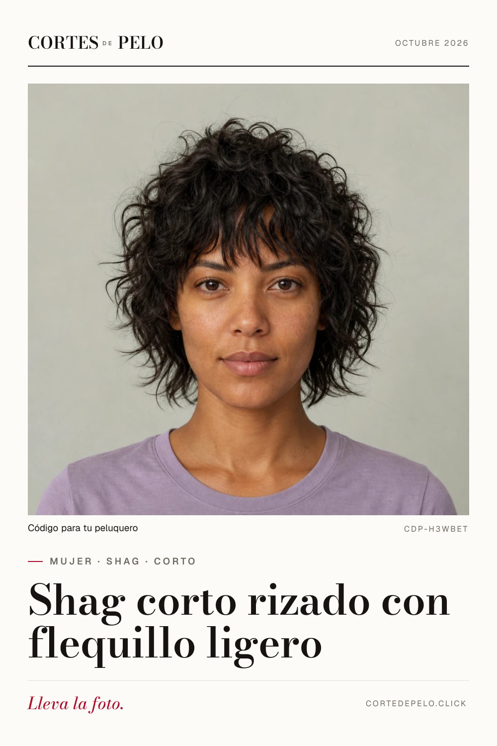 Visual Idea Visual Idea — Shag Haircut 2027