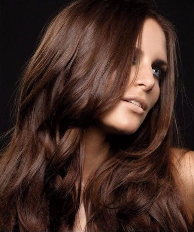 Mid-Back Visual Idea Mid-Back Visual Idea — Mahogany Hair 2027