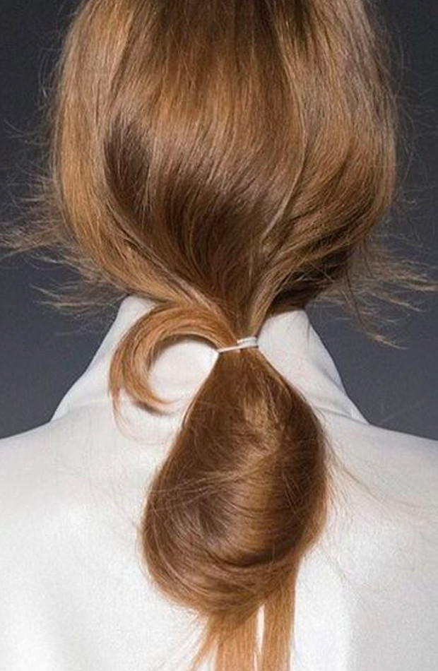 Back View Visual Idea Back View Visual Idea — Easy Ponytail Hairstyles 2027