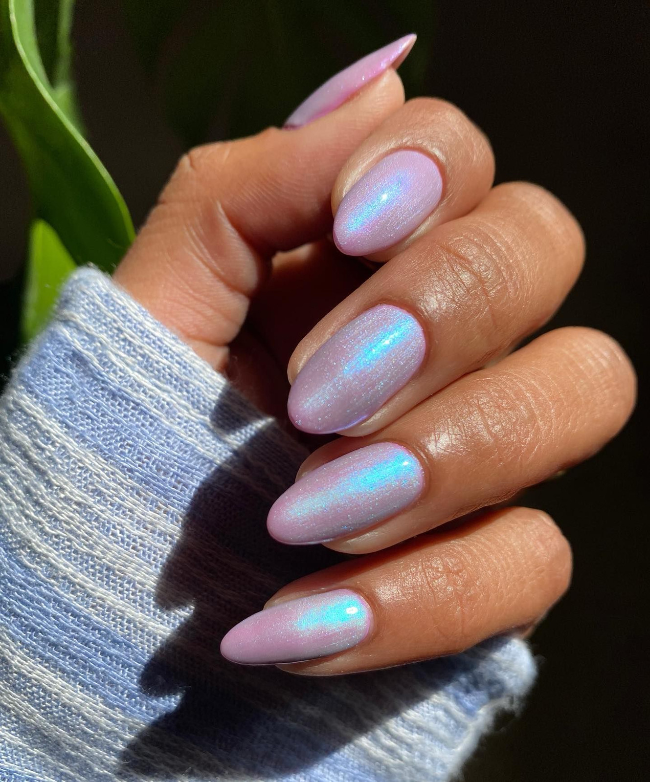 Visual Idea Visual Idea — Hawaii Nails 2027