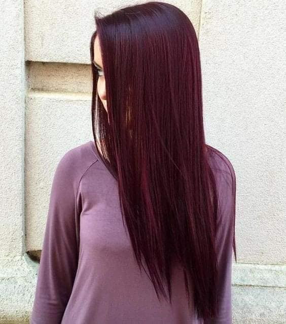 Fine Straight Deep Burgundy Sleek Style Fine Straight Deep Burgundy Sleek Style — Mulled Wine Hair 2027