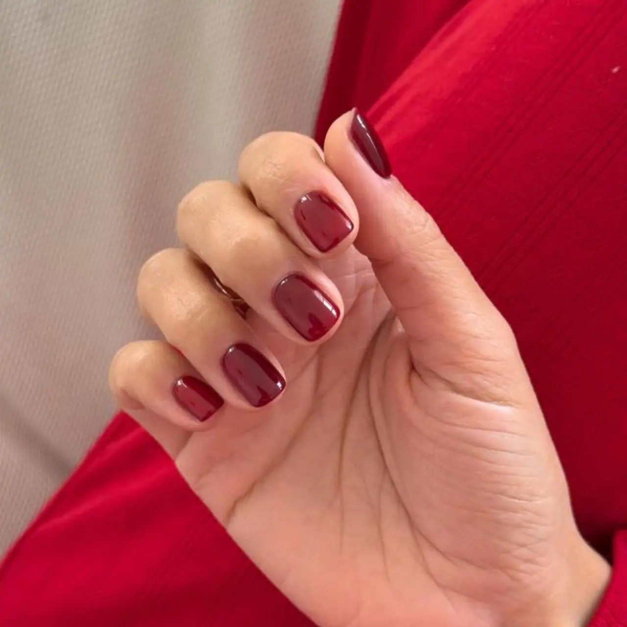 Solid Color Visual Idea Solid Color Visual Idea — Short Winter Nails 2027