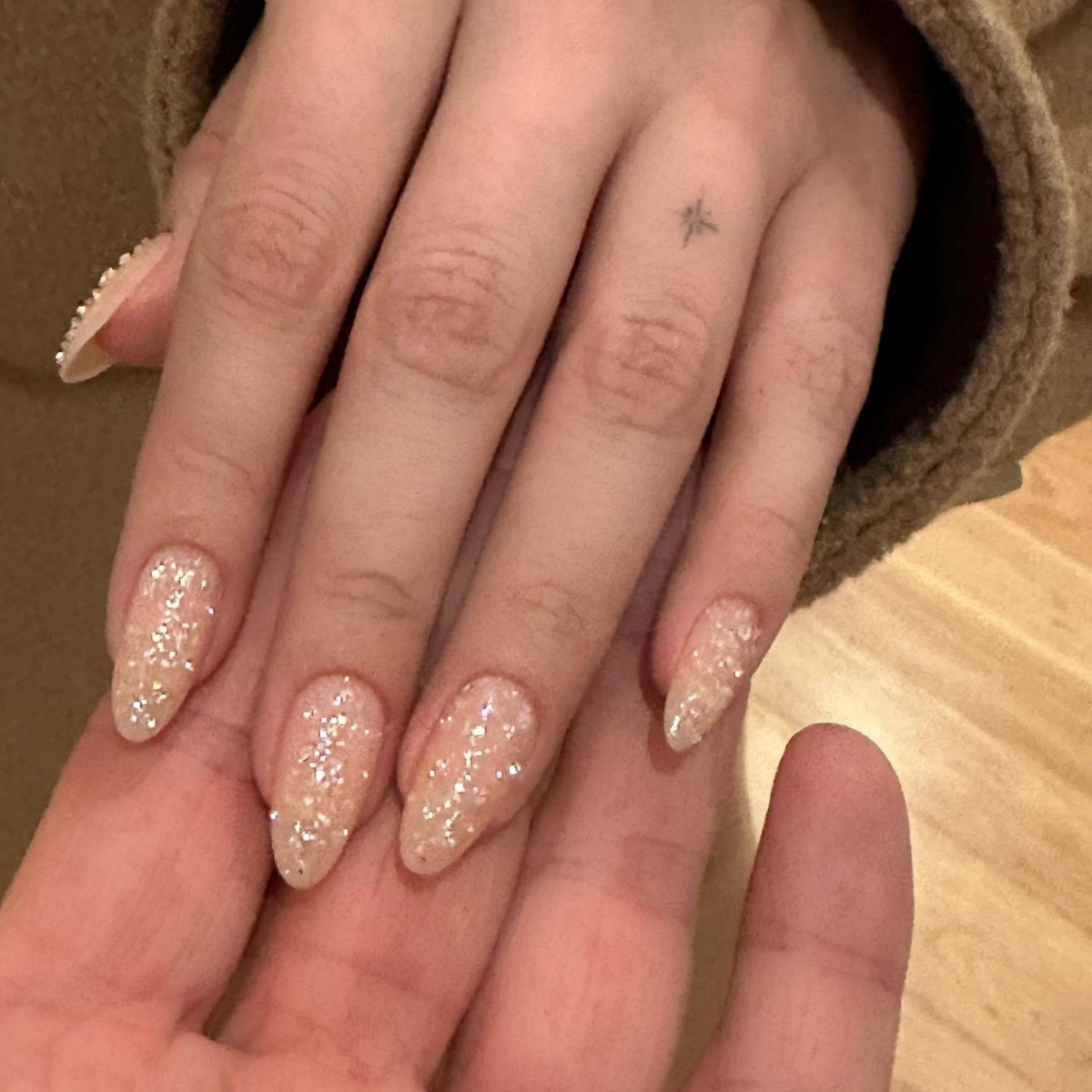 Iridescent Glitter Sheer Nude Iridescent Glitter Sheer Nude — Winter Nail Trends 2027