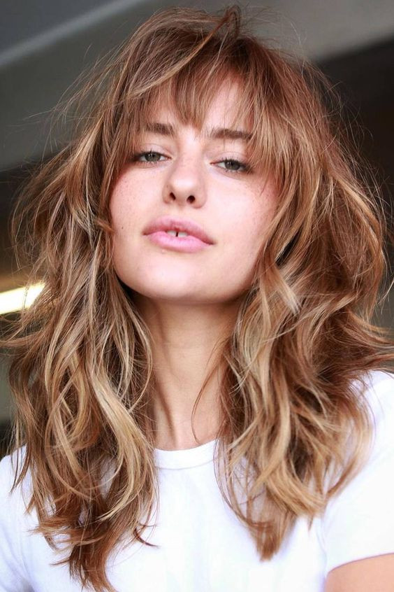 Honey Blonde Highlights Visual Idea Honey Blonde Highlights Visual Idea — Long Shag 2027