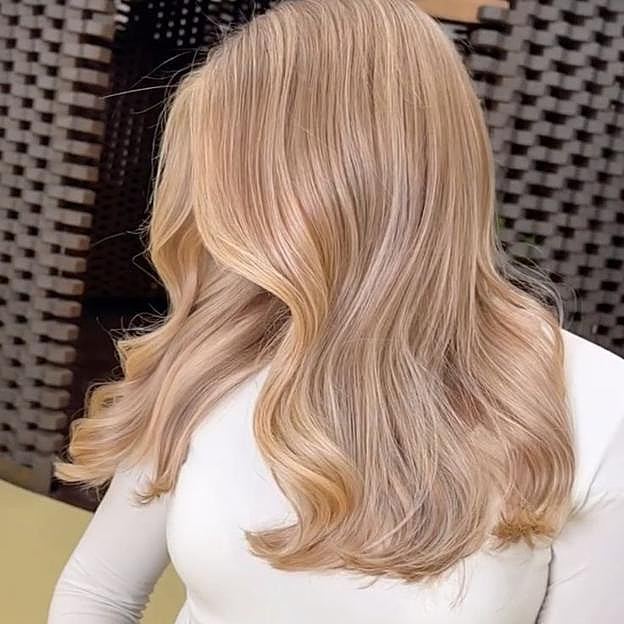 Light Blonde With Subtle Babylights Light Blonde With Subtle Babylights — Spring Blonde 2027