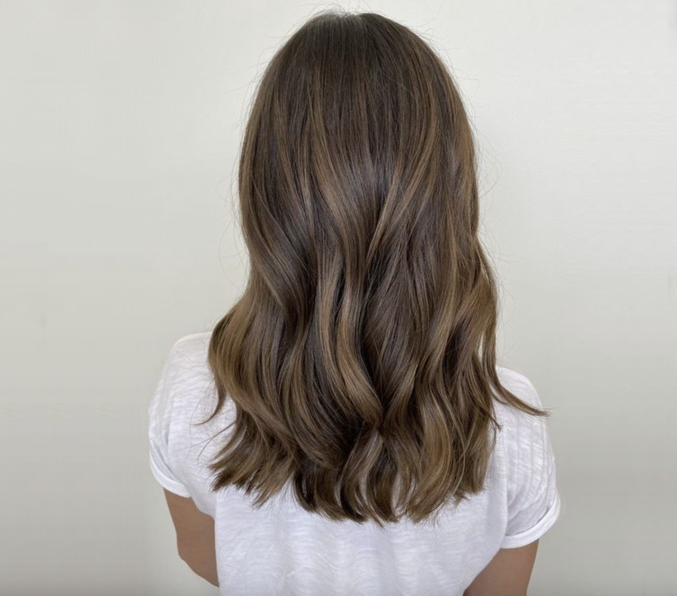 Back View Visual Idea — Highlights on Dark Hair 2027