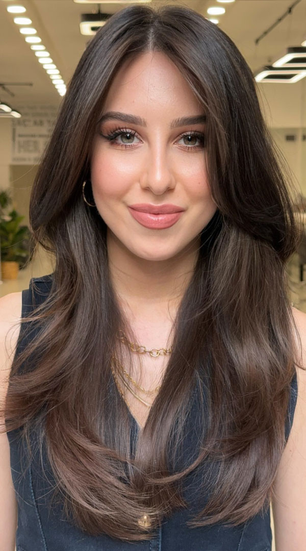 Voluminous Dark Brown Blowout Voluminous Dark Brown Blowout — Straight Hair Hairstyles 2027