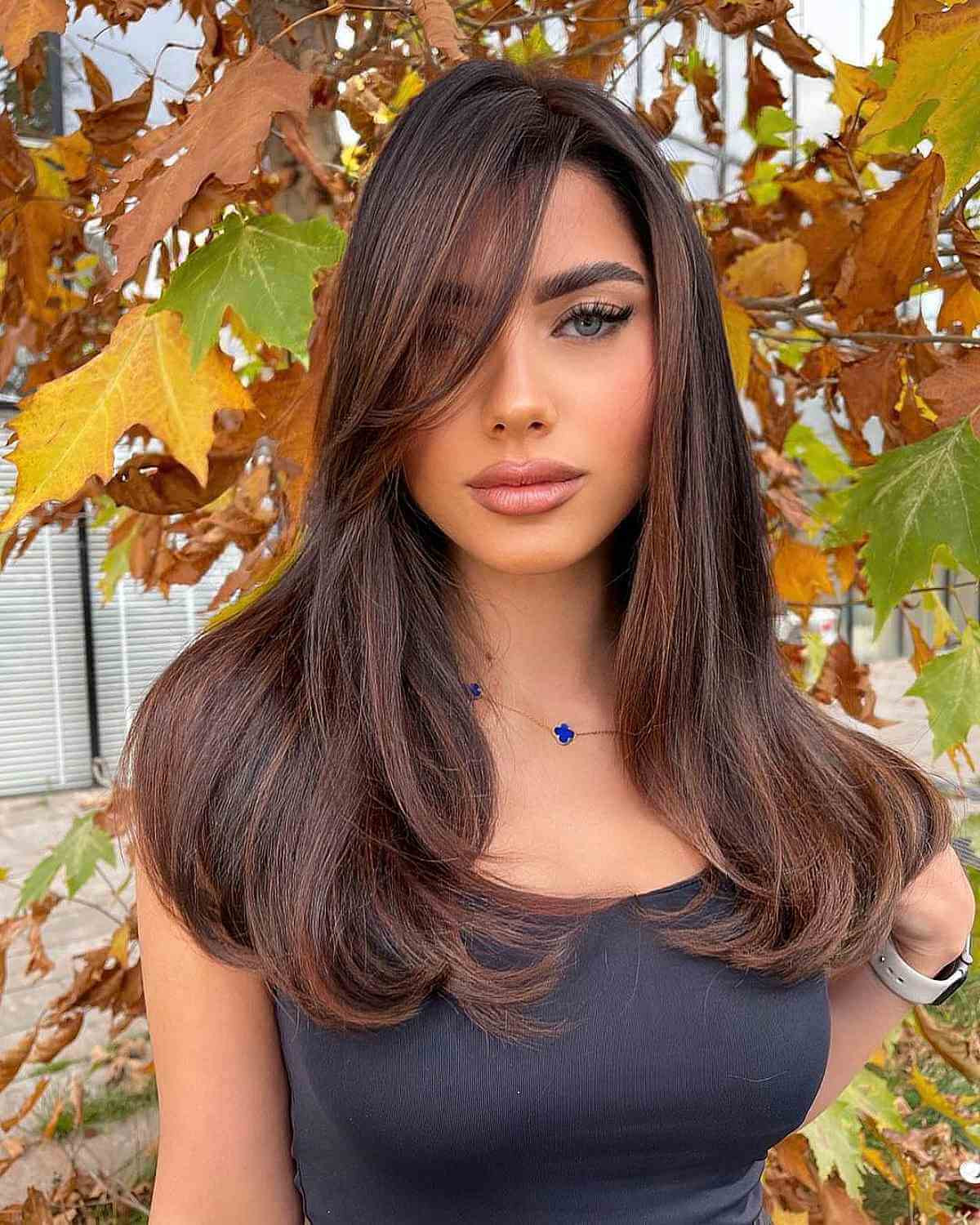 Mid-Back Dark Brown Soft Layers Mid-Back Dark Brown Soft Layers — Straight Hair Hairstyles 2027