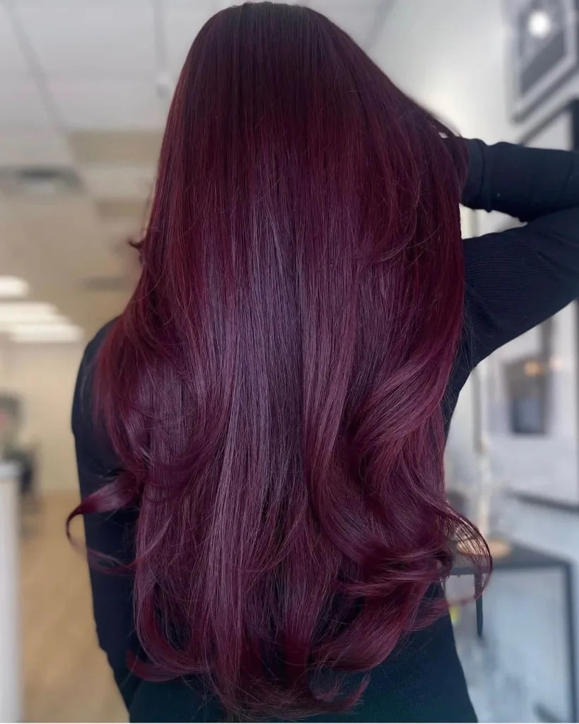 Angled Burgundy Bob Sleek Blowout Angled Burgundy Bob Sleek Blowout — Mulled Wine Hair 2027