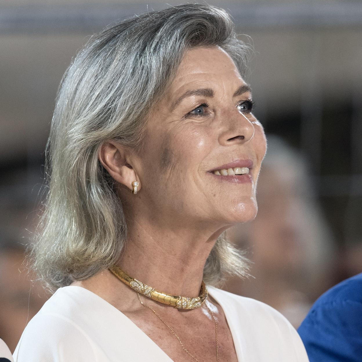 Natural Gray Visual Idea — Gray Hair Color 2027