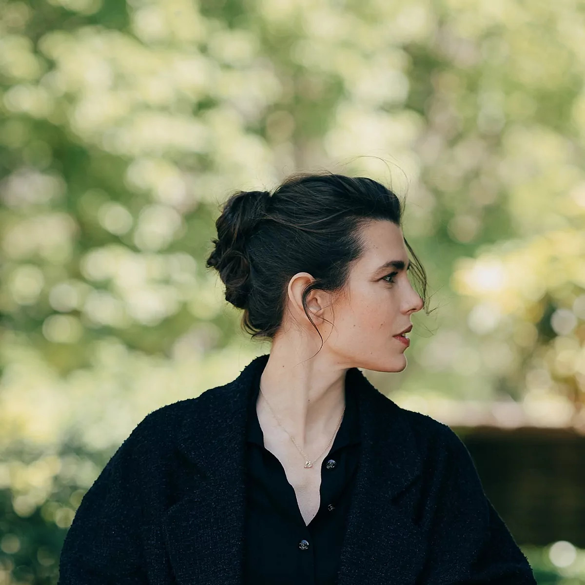 Visual Idea — Messy Bun Messy Bun 2027