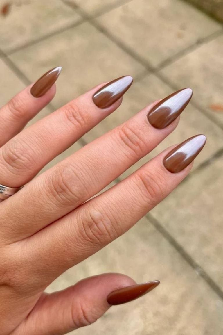 Medium Brown With Warm Undertones Visual Idea Medium Brown With Warm Undertones Visual Idea — Chocolate Brown Nails 2027
