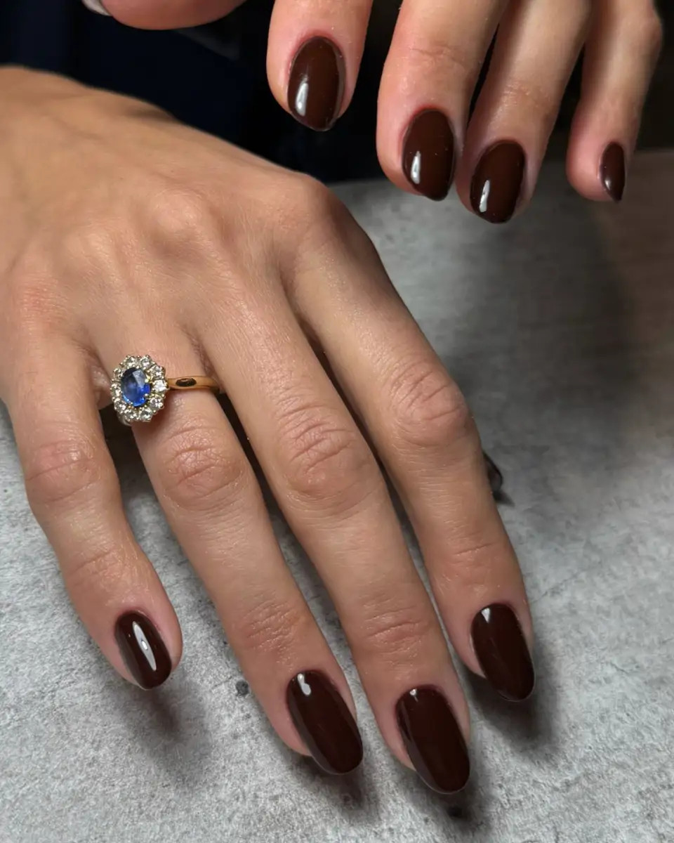 Rich Dark Chocolate Brown Visual Idea Rich Dark Chocolate Brown Visual Idea — Chocolate Brown Nails 2027