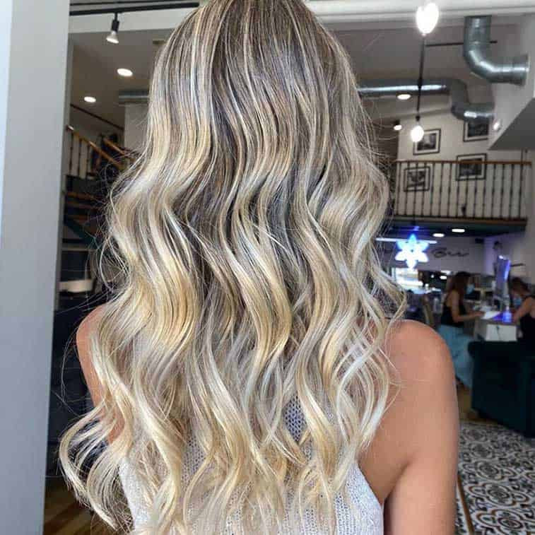 Back View Visual Idea Back View Visual Idea — Ash Blonde Hair 2027