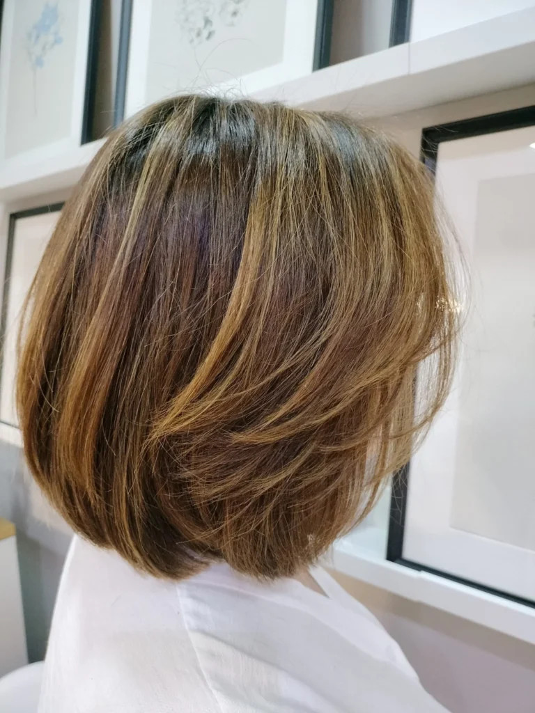 Brown With Blonde Highlights Visual Idea — Highlights Bob 2027
