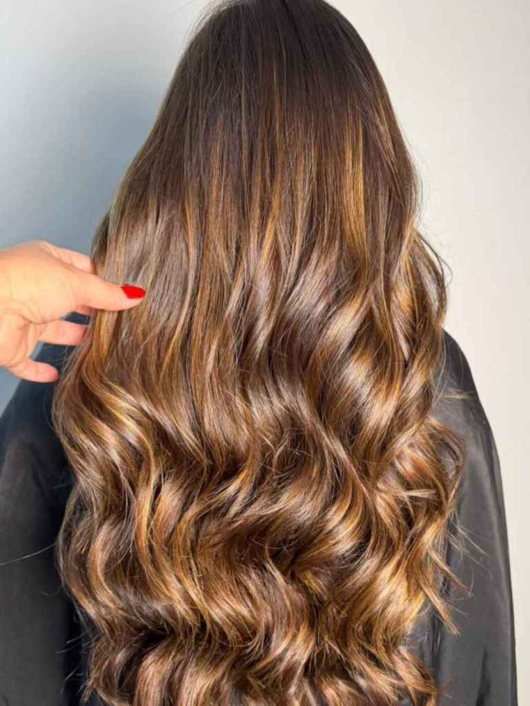 Back View Of Caramel And Copper Balayage — Caramel Balayage 2027