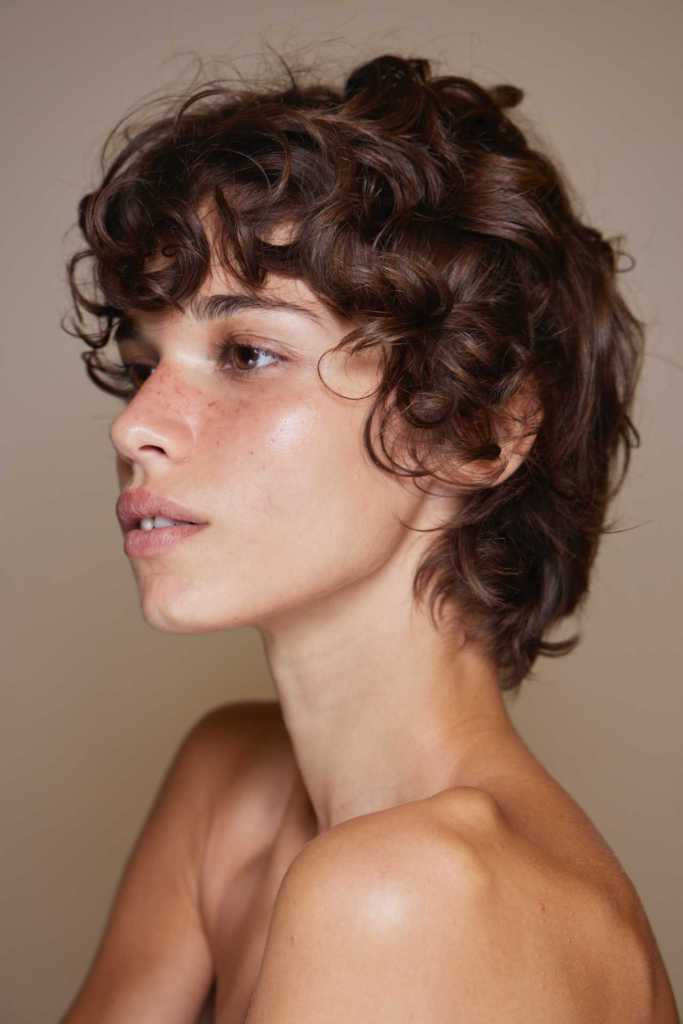 Dark Brown With Subtle Highlights Visual Idea Dark Brown With Subtle Highlights Visual Idea — Pixie 2027 for Wavy Hair