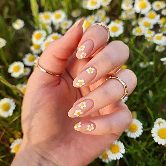 Sheer Nude Daisy Nails Sheer Nude Daisy Nails — Floral Acrylic Nails 2027