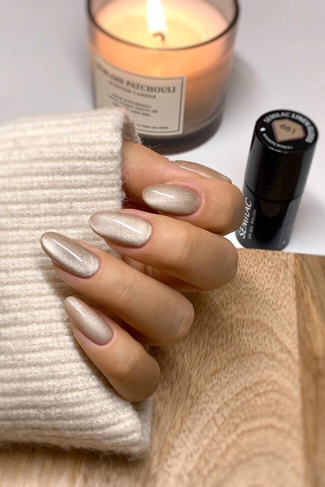 Cat-Eye Glossy Visual Idea Cat-Eye Glossy Visual Idea — Winter Nails 2027