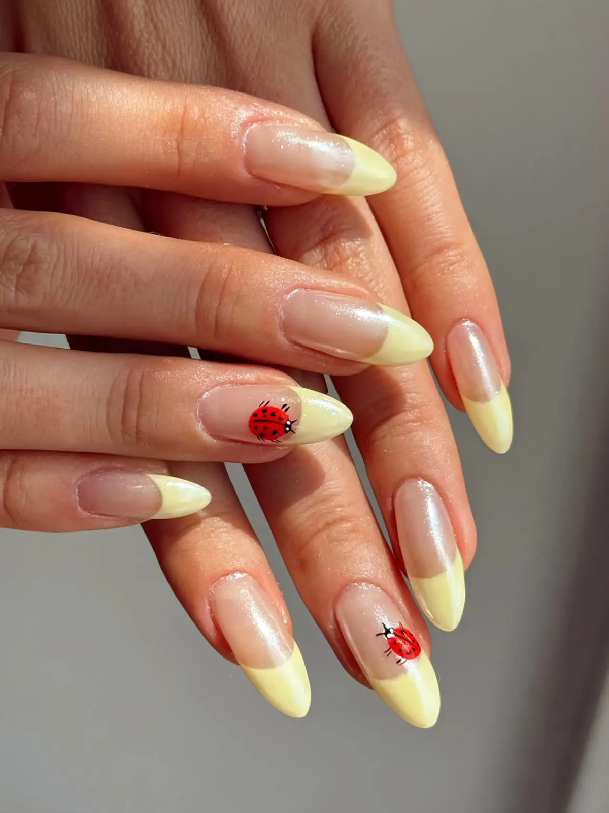 Visual Idea — French Tip Nails 2027