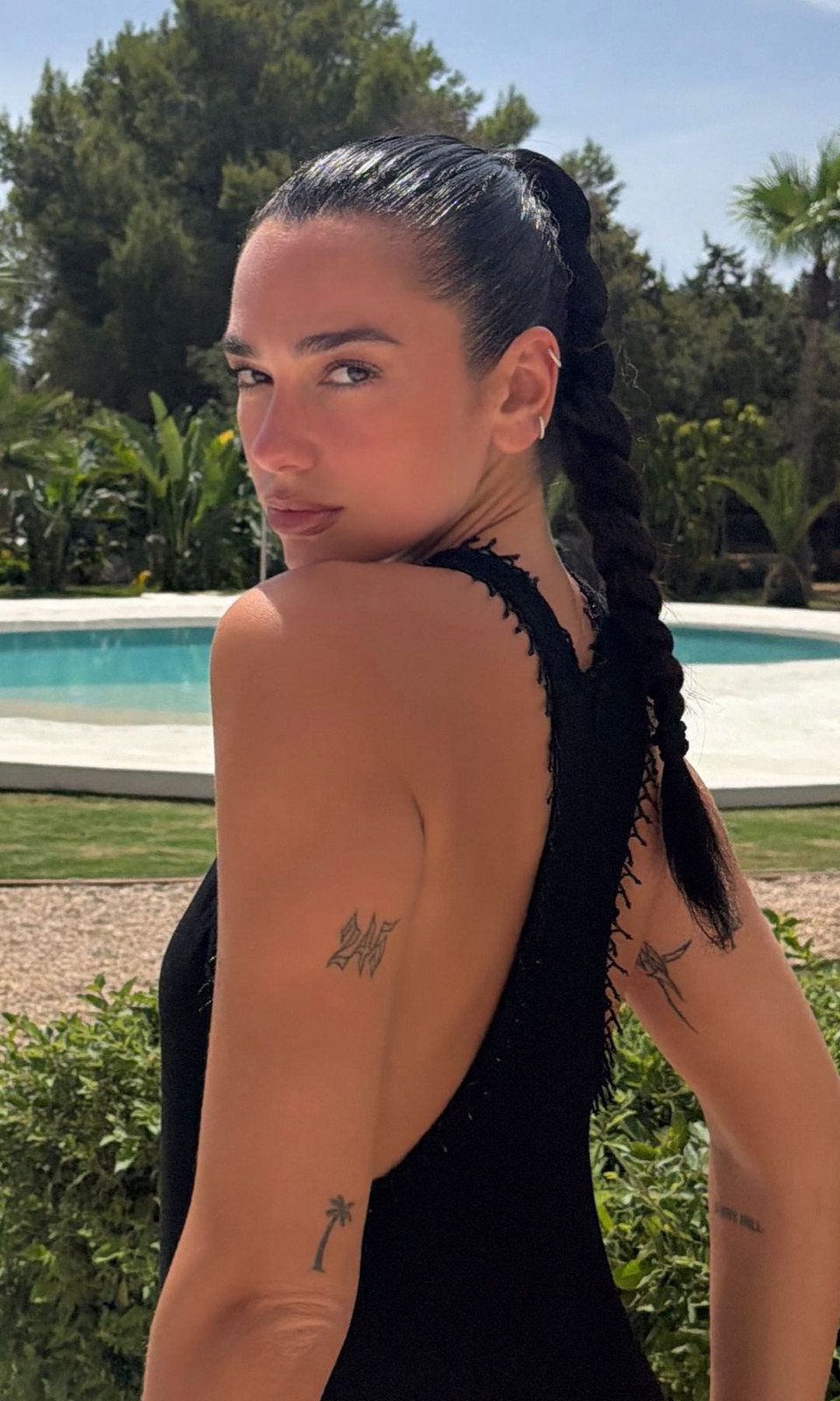 Dark Brown Visual Idea — Summer Ponytails 2027