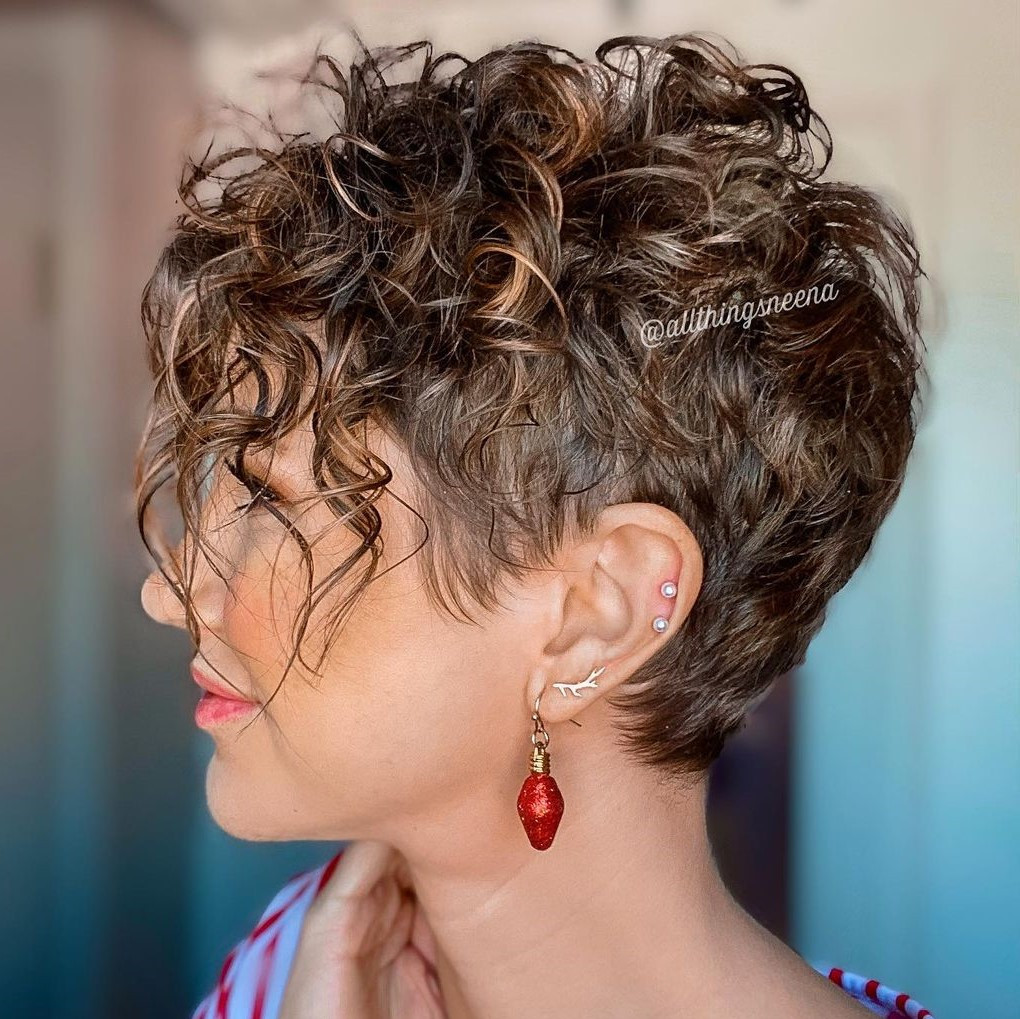 Dark Brown Curly Pixie with Highlights Dark Brown Curly Pixie with Highlights — Wavy Pixie 2027