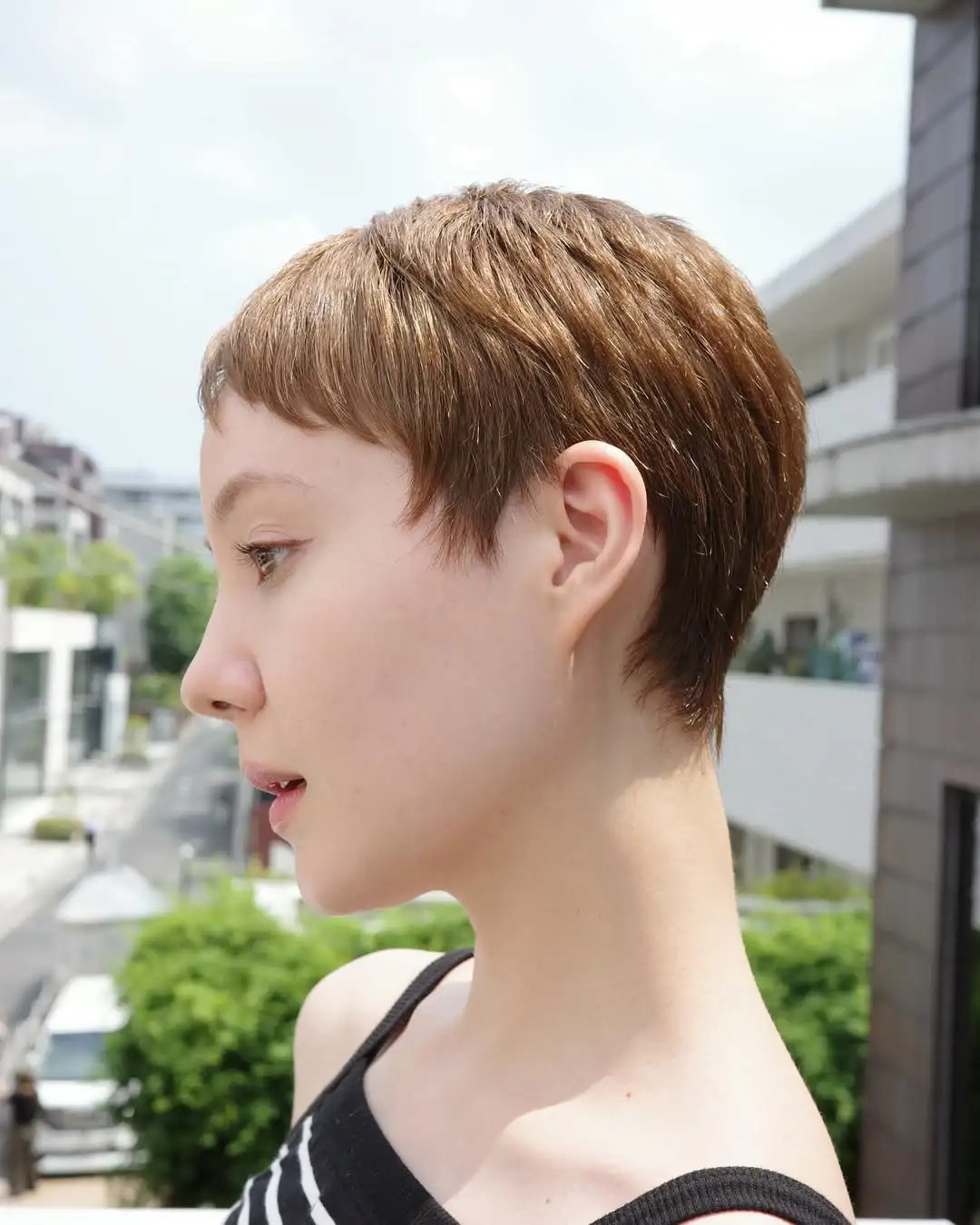 Wispy Micro Bangs On Light Brown Pixie Wispy Micro Bangs On Light Brown Pixie — Micro Bangs 2027